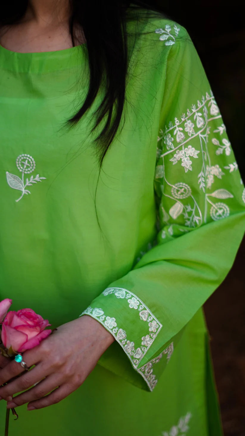 Ishaal 2-Piece Embroidered Lawn with Plain Trouser